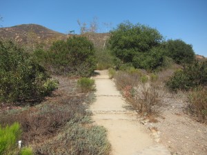 Cowles Getting started