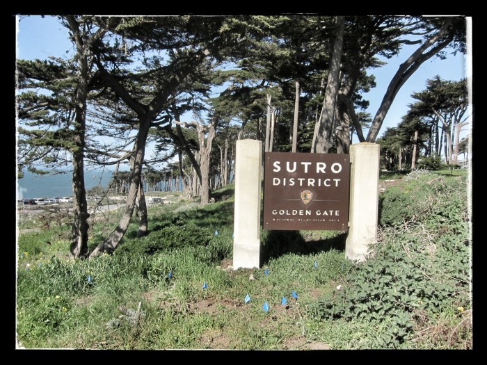 Sutro District