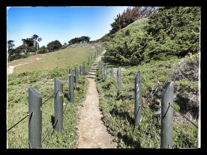 SUTRO HEIGHTS PARK STEPS