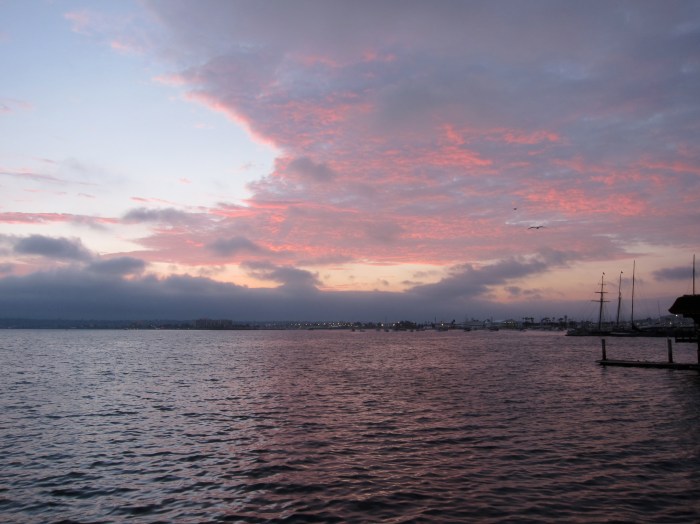 The view of the San Diego Bay from the Embarcadero