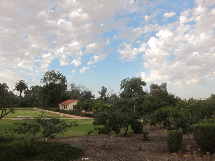 Balboa Park, San Diego. 24 August 2013.
