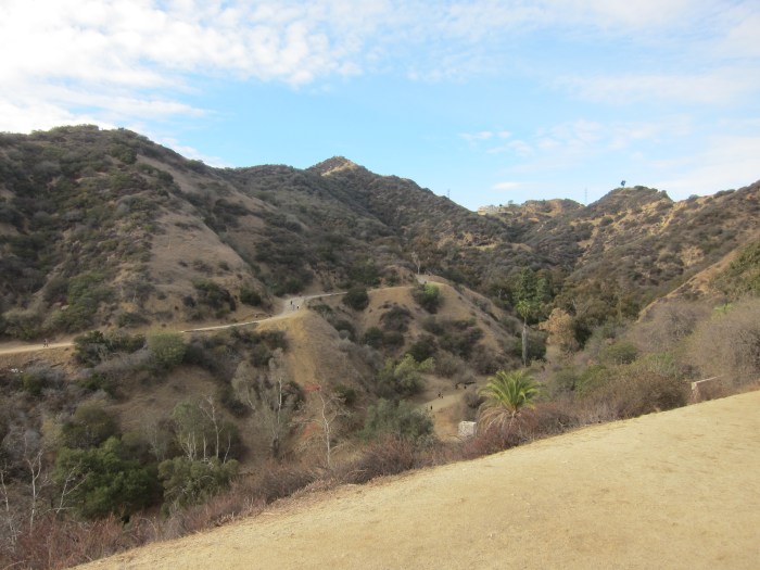 Inside Runyon Canyon