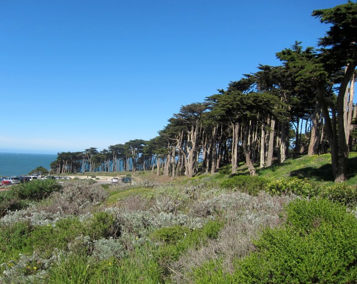 The Sutro District, San Francisco