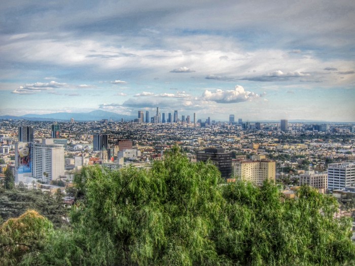 Hollywood and Downtown Los Angeles from Runyon Canyon