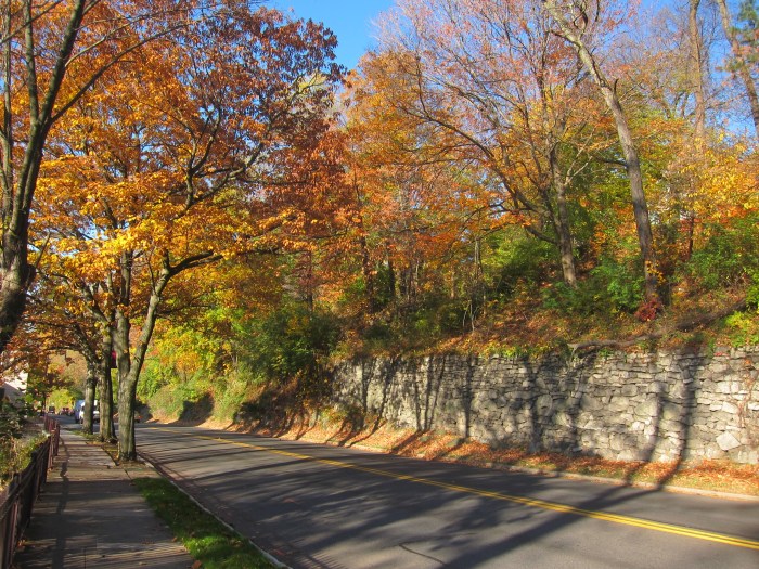 Fall Colors - College Ave., Easton, PA