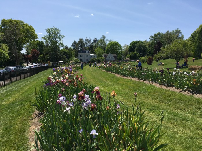 garden-montclair-njjpg