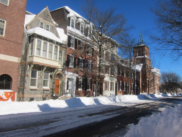 spring-garden-st-jan-2016